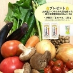 福岡の野菜BOX.jpg