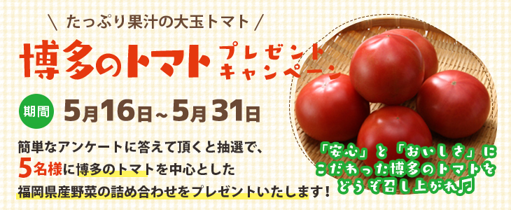 20220516_tomato_bnr.jpg