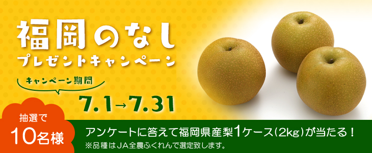 20250701_なし_bnr.jpg