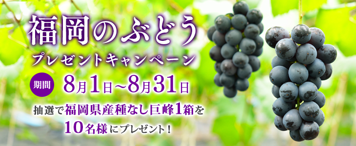 20250801_ぶどう_bnr.jpg