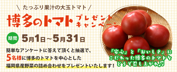 20260501_トマト_bnr.jpg