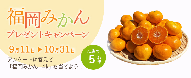 20260911_みかん_bnr.jpg