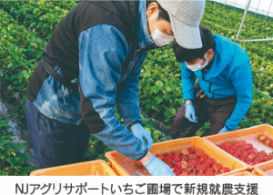 NJアグリサポートいちご園場で新規就農支援