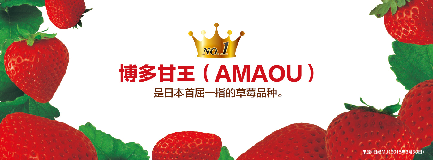 博多甘王（AMAOU）是日本首屈一指的草莓品种。