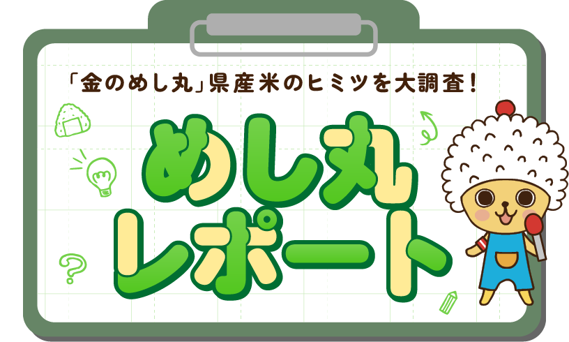 めし丸レポート