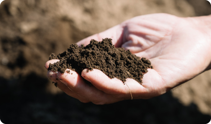 豊かな土づくり