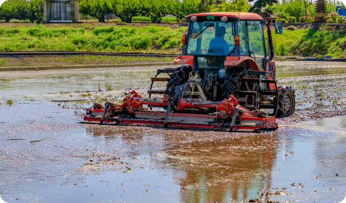 田植えの準備