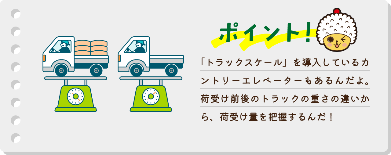 ポイント！「トラックスケール」を導入しているカントリーエレベーターもあるんだよ。荷受け前後のトラックの重さの違いから、荷受け量を把握するんだ！