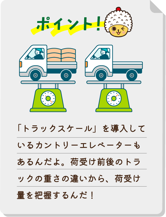 ポイント！「トラックスケール」を導入しているカントリーエレベーターもあるんだよ。荷受け前後のトラックの重さの違いから、荷受け量を把握するんだ！