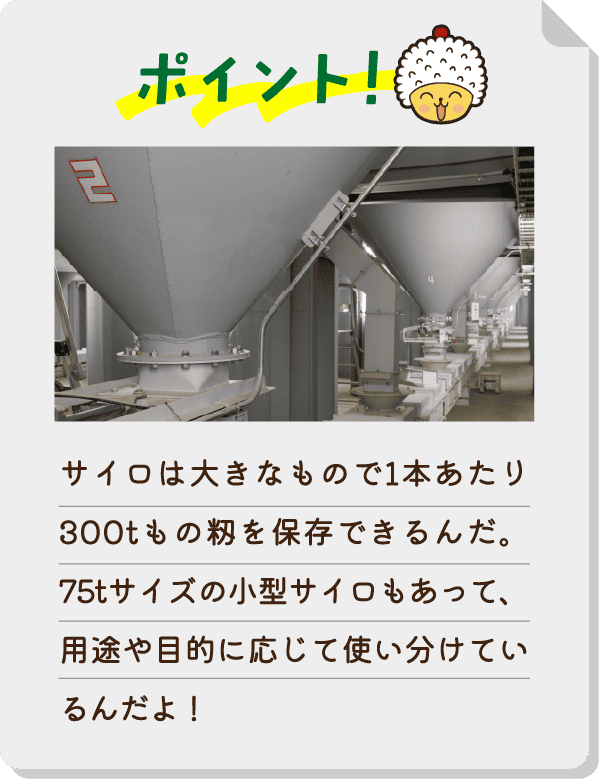 ポイント！サイロは大きなもので1本あたり300tもの籾を保存できるんだ。75tサイズの小型サイロもあって、用途や目的に応じて使い分けているんだよ！