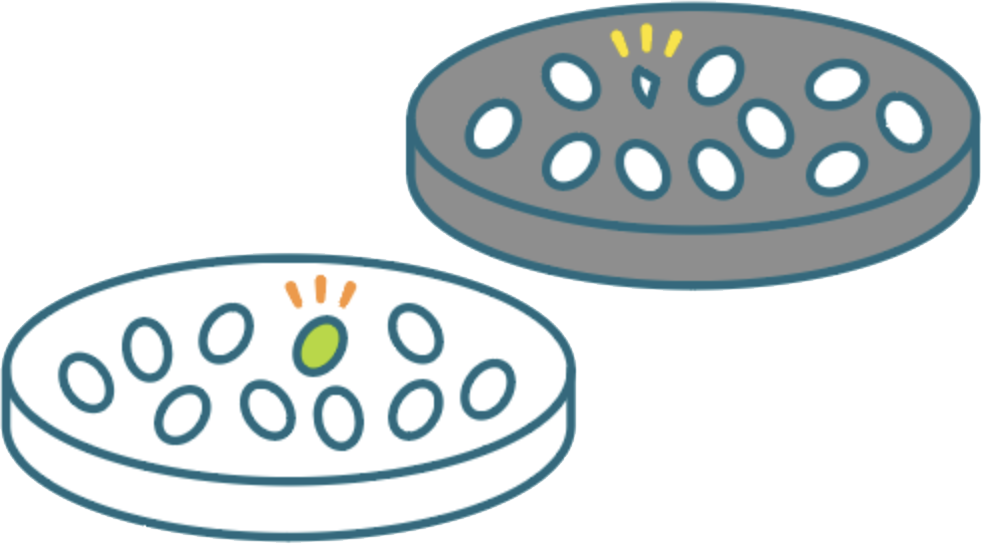 お米の状態を精査