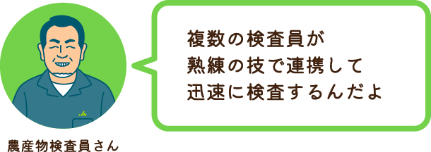 農産物検査員さん 複数の検査員が熟練の技で連携して迅速に検査するんだよ