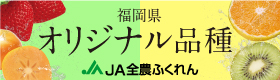 福岡県オリジナル品種
